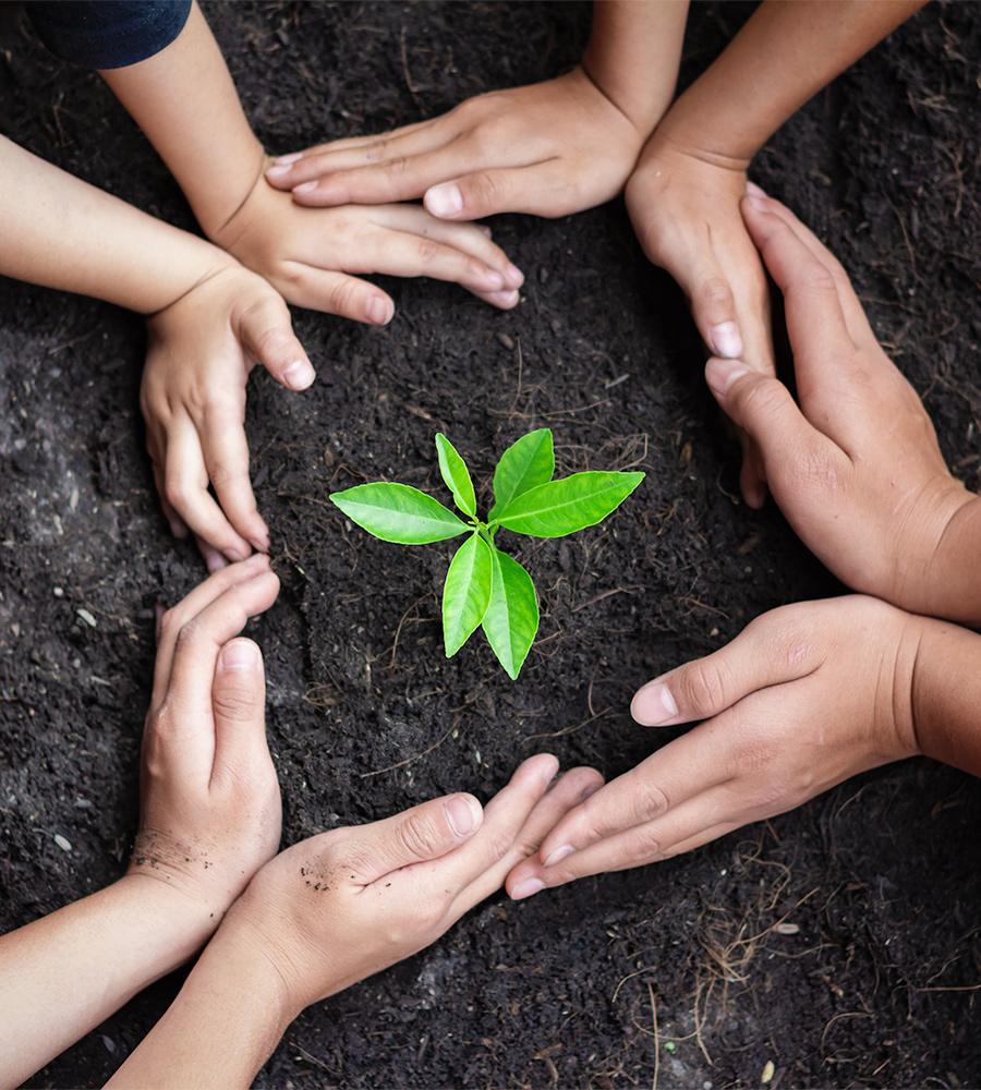 Sustainability Our Pledge